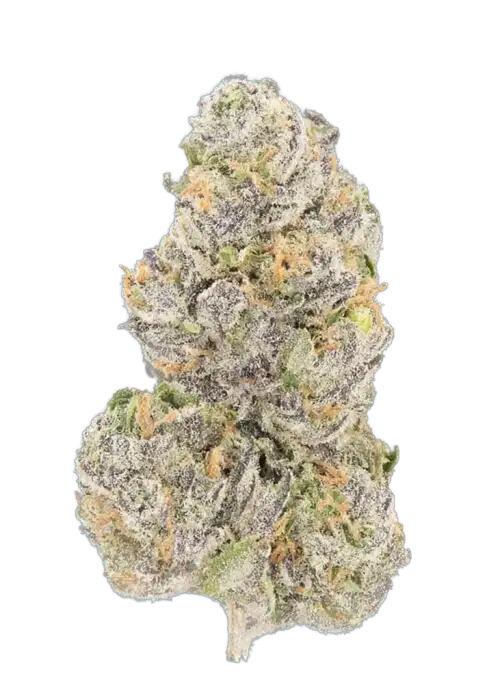 Platinum Dosha
