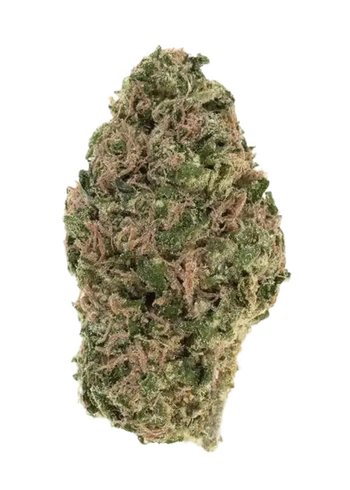 Aurelium