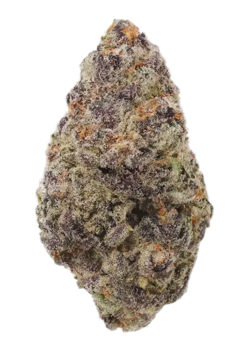 Double Black OG