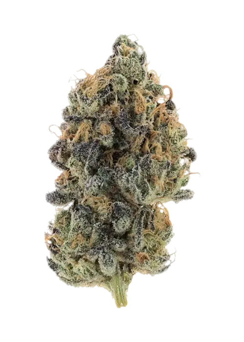 Super Freak by BigWorm