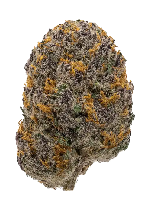 Black Cherry Lemonade