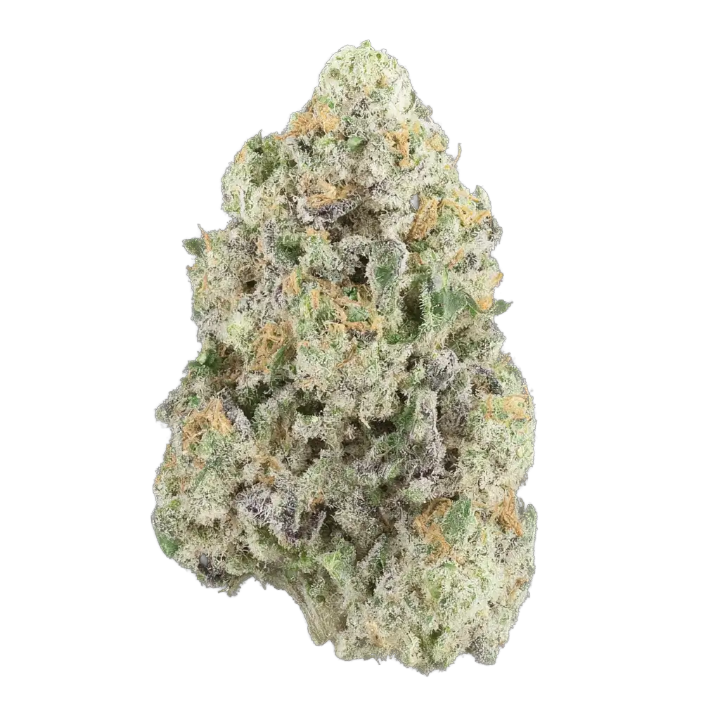 NITRAID【REAL WEED GROVE】 6084-nitro-fumez.webp