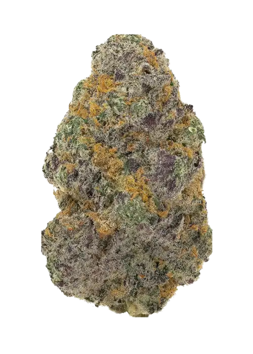 Piñata by Jungle Boys