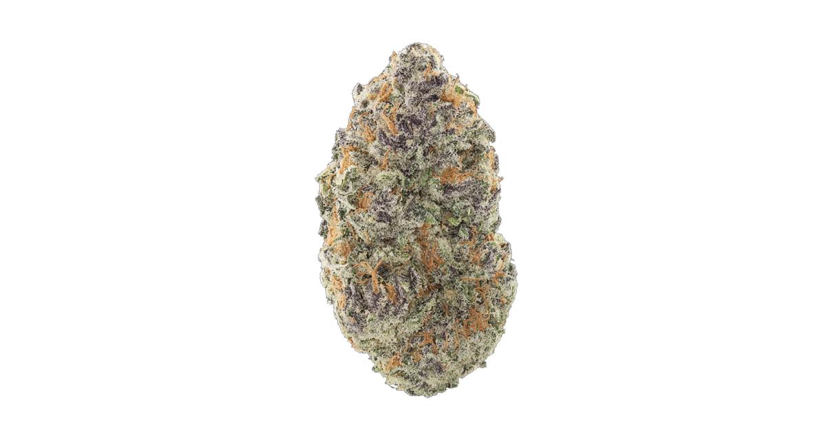 NY Zoo Cannabis Strain Products - GrowDiaries