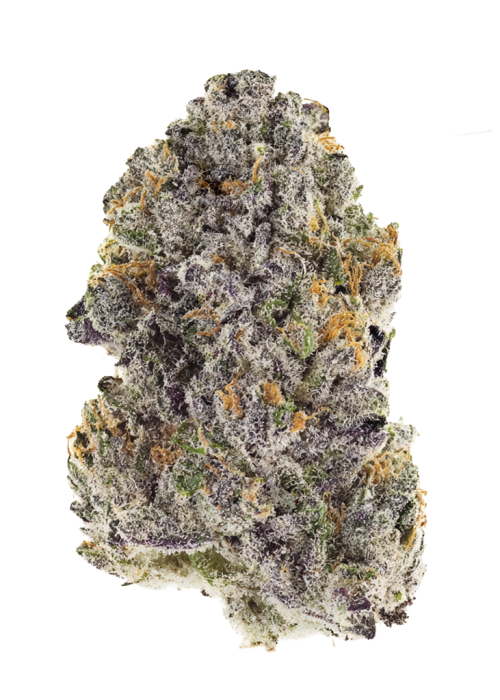Frosted Gelato