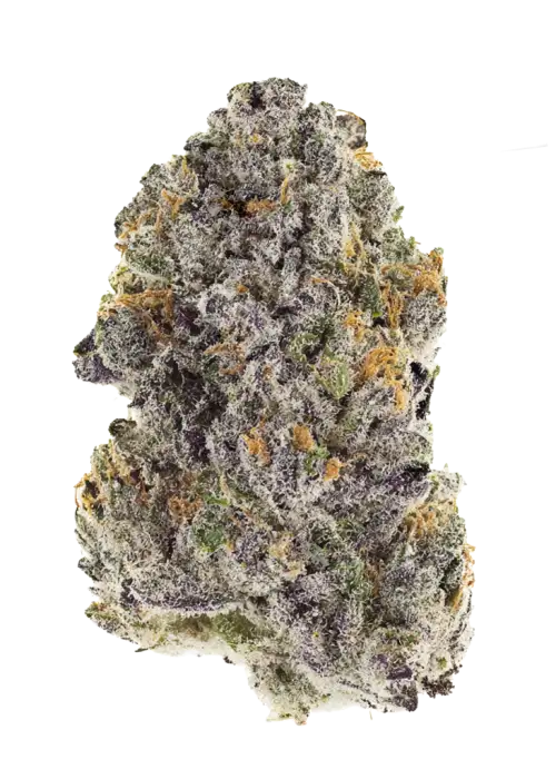 Frosted Gelato