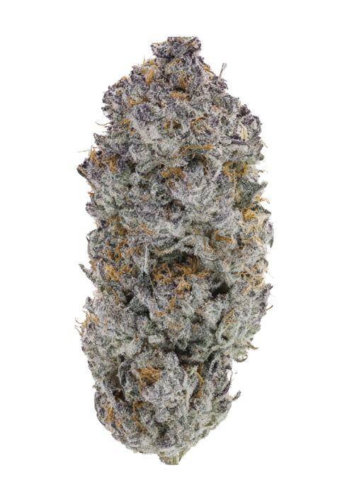 Black Sherb by The Growing Pains