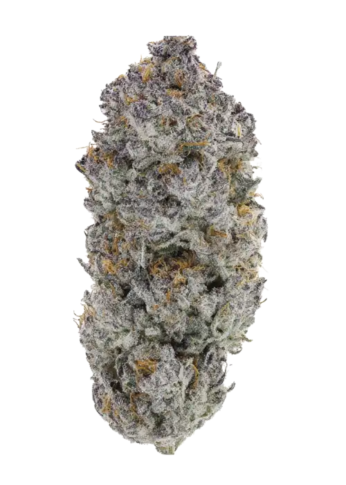Black Sherb by The Growing Pains