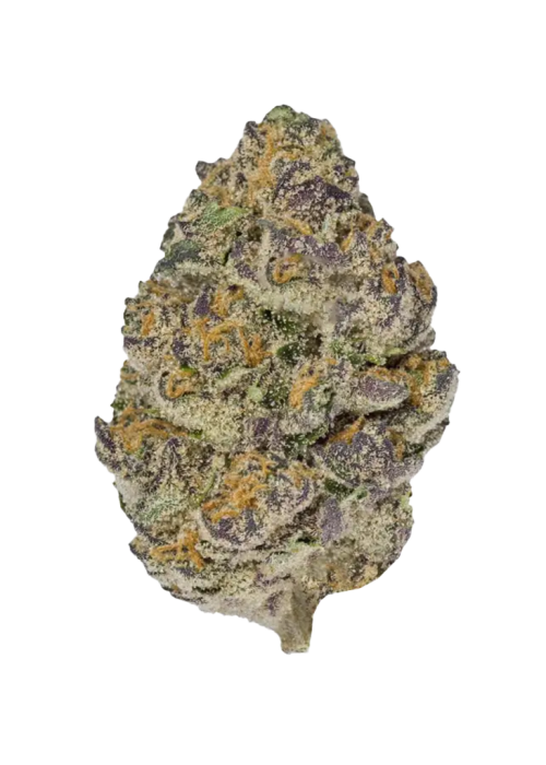 Orange Cream
