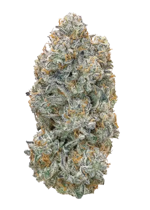 Devils Candy