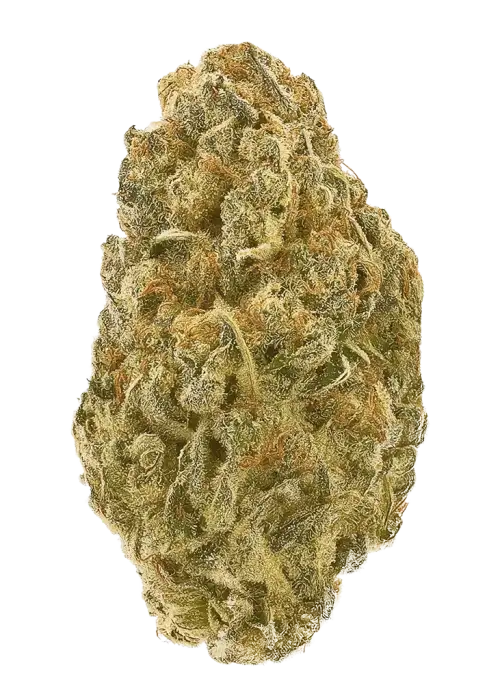 Doc's OG