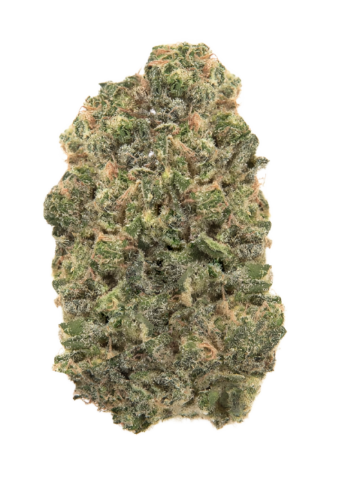 Toad Venom by Ronin Seeds