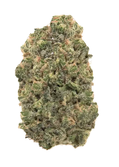 Toad Venom by Ronin Seeds