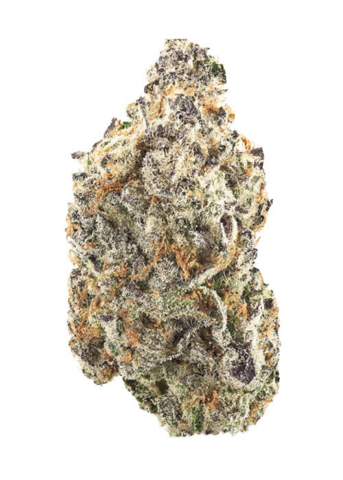 Razzberry Gelato