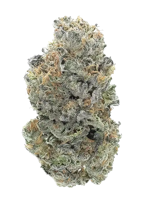 Mikes Coma