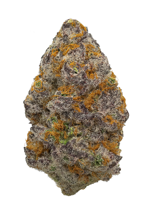 Purple Sunset by Jungle Boys