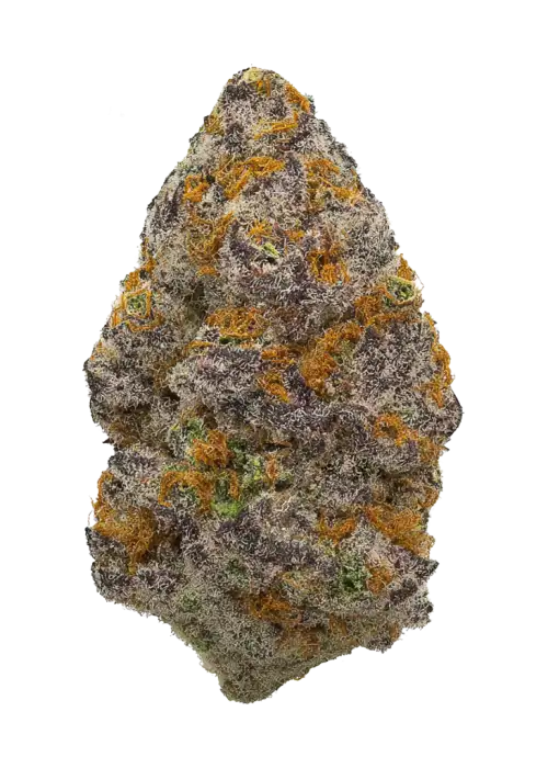 Purple Sunset by Jungle Boys