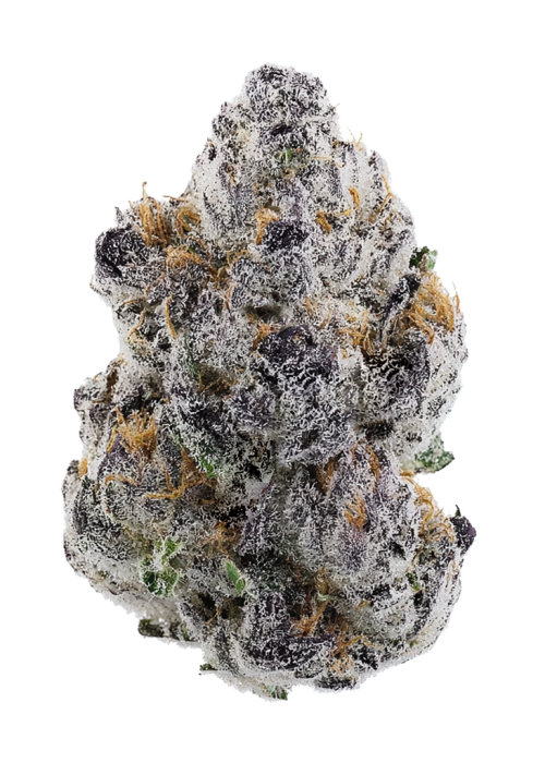 Lava Kush