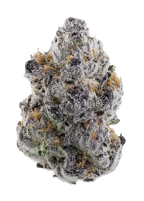 Lava Kush