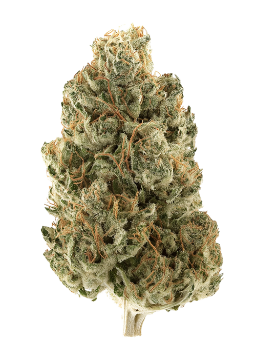 Grape Head