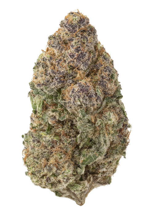 Blueberry Malasada