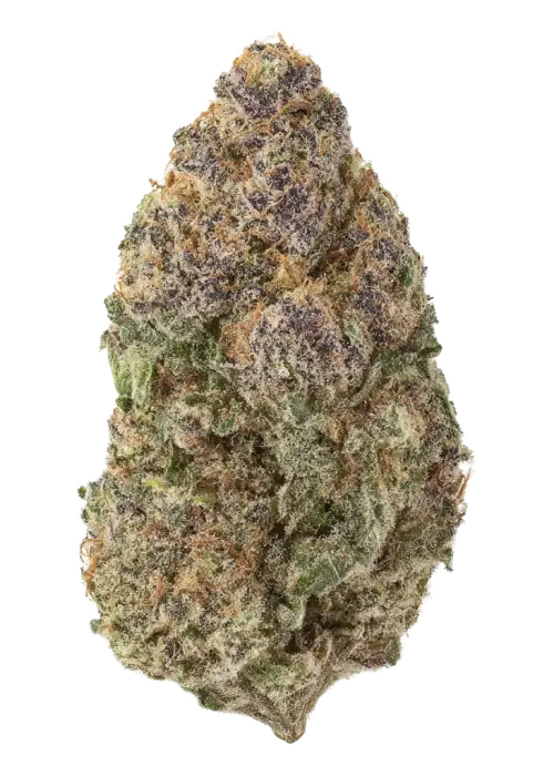 Blueberry Malasada