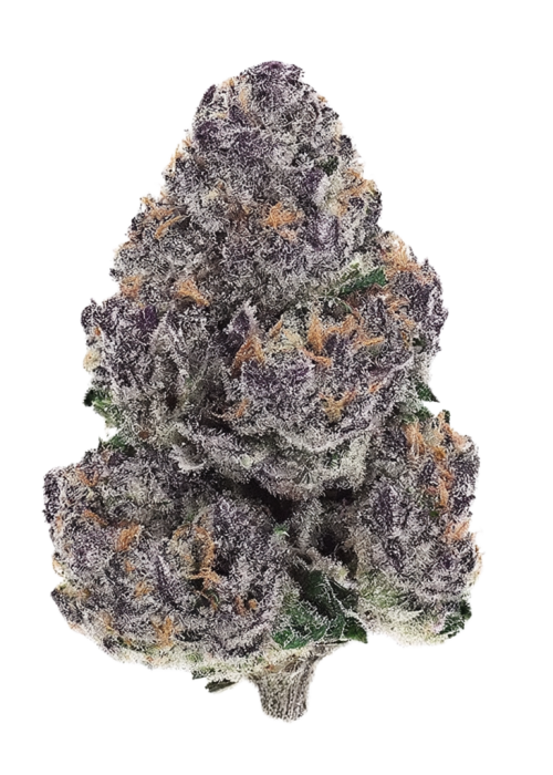 Glacier