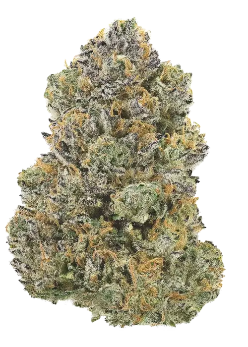Pink Dirt