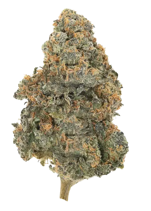 Grape Gelly Zkittles
