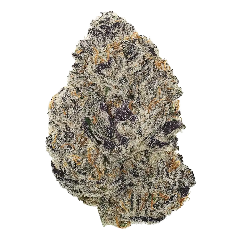 7163-cranberry-gellyz.webp