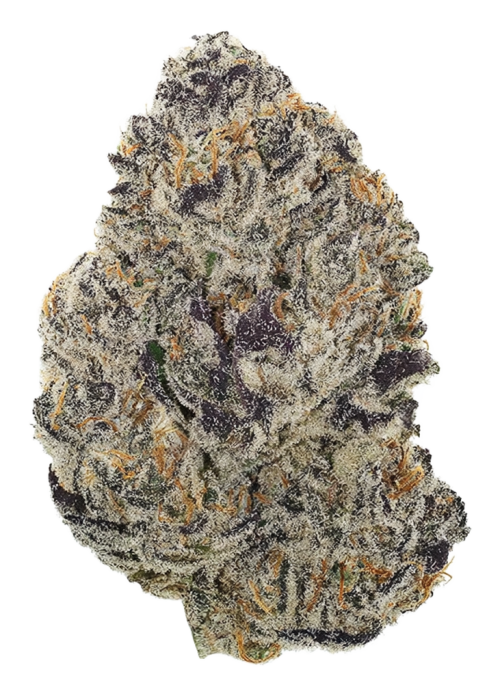 Cranberry GellyZ