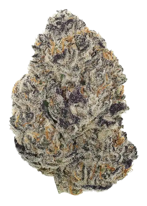 Cranberry GellyZ