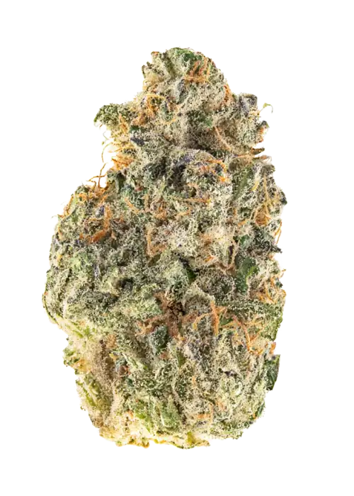 Tangerine Terror