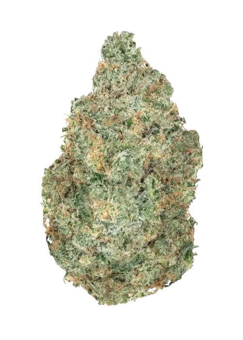 Downtown Haze