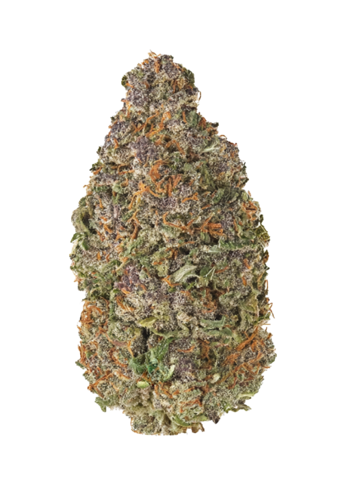 Dark OG