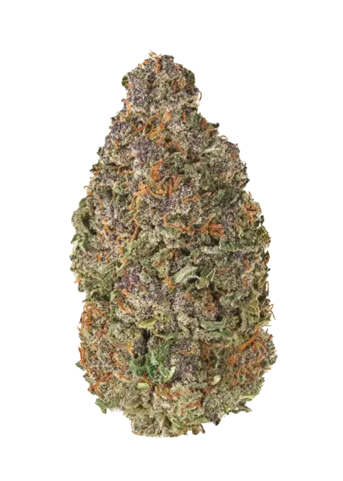 Dark OG