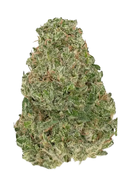 Permanent Haze