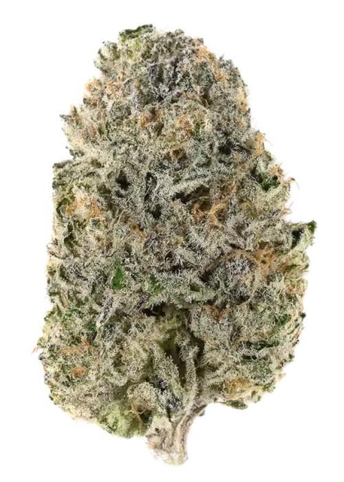 Trip Sauce