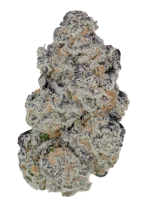 Purple Swish Haze
