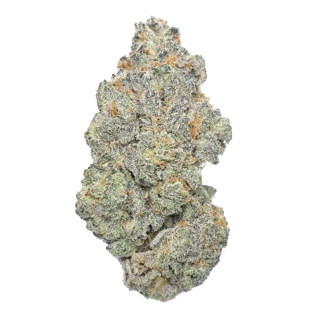 Starkiller Haze Cannabis Strain Information - GrowDiaries