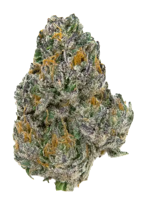 Sour Special Sauce