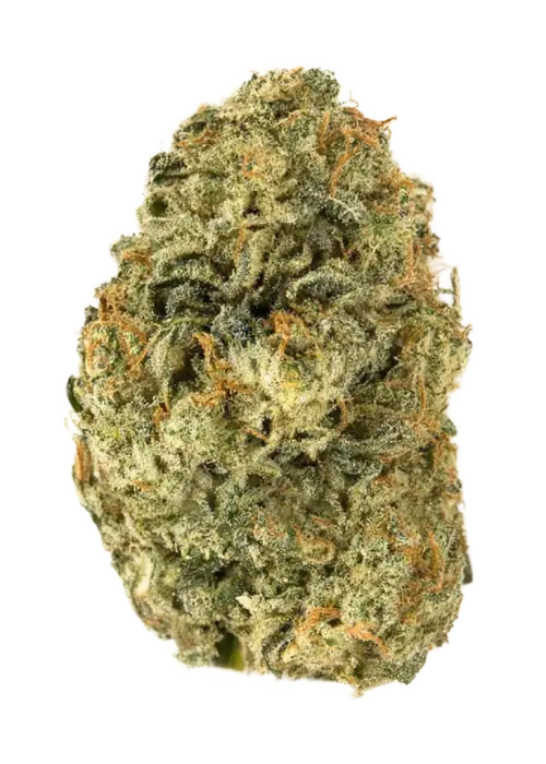 Sour Lifter