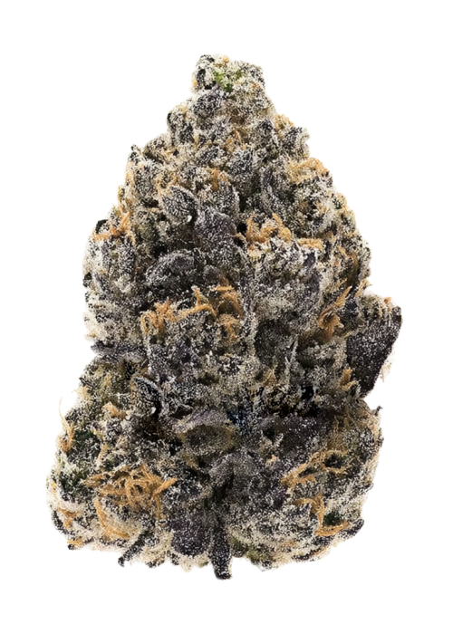 GMOB