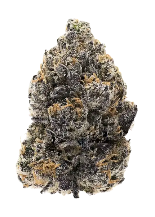 GMOB