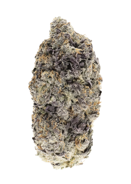 Trippin' Dots