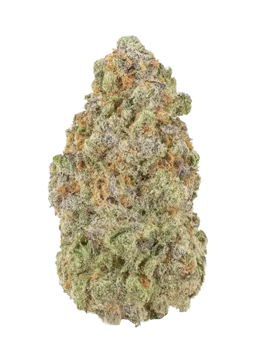 Snazzberry