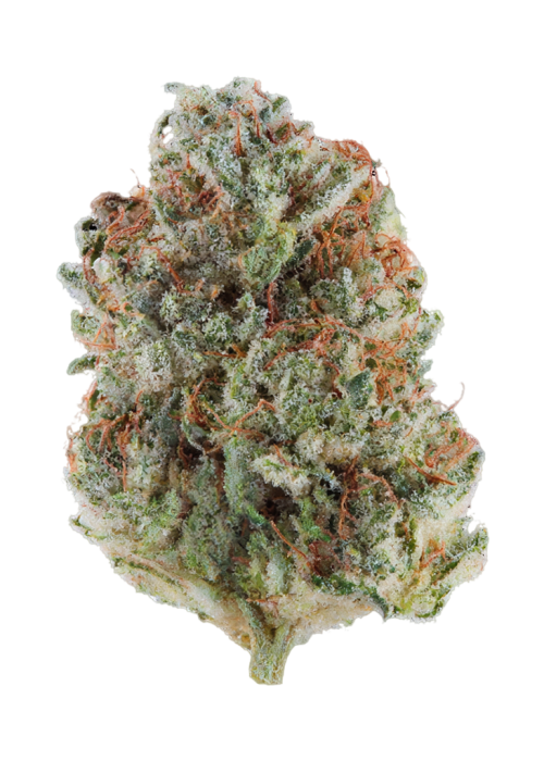 Sour 91