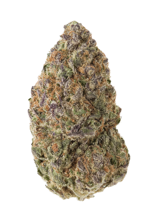 OG-MOB 437