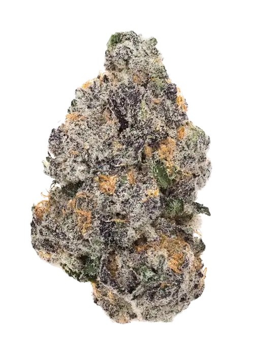 Frozen Yeti