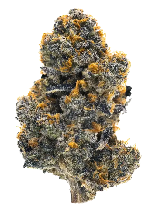 Blue Banger